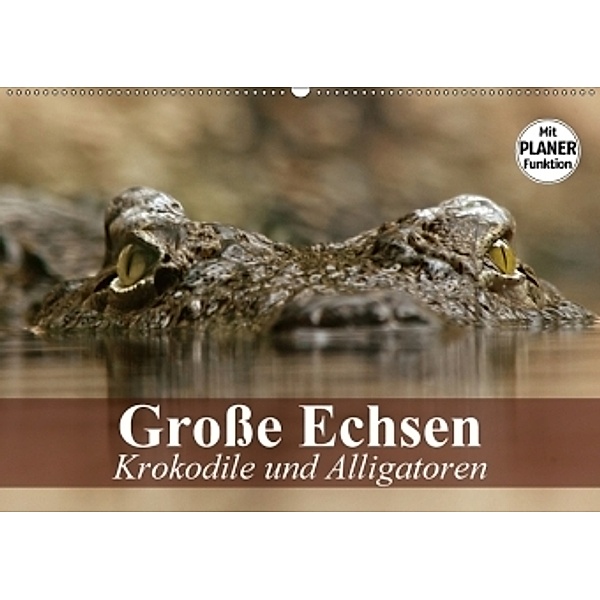 Große Echsen. Krokodile und Alligatoren (Wandkalender 2017 DIN A2 quer), Elisabeth Stanzer