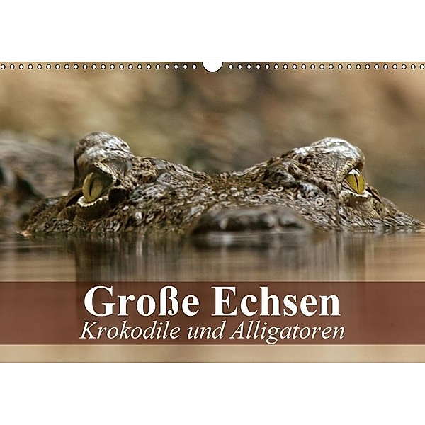 Große Echsen. Krokodile und Alligatoren (Wandkalender 2017 DIN A3 quer), Elisabeth Stanzer