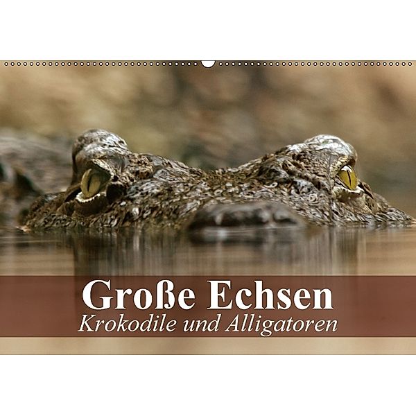 Große Echsen. Krokodile und Alligatoren (Wandkalender 2018 DIN A2 quer), Elisabeth Stanzer