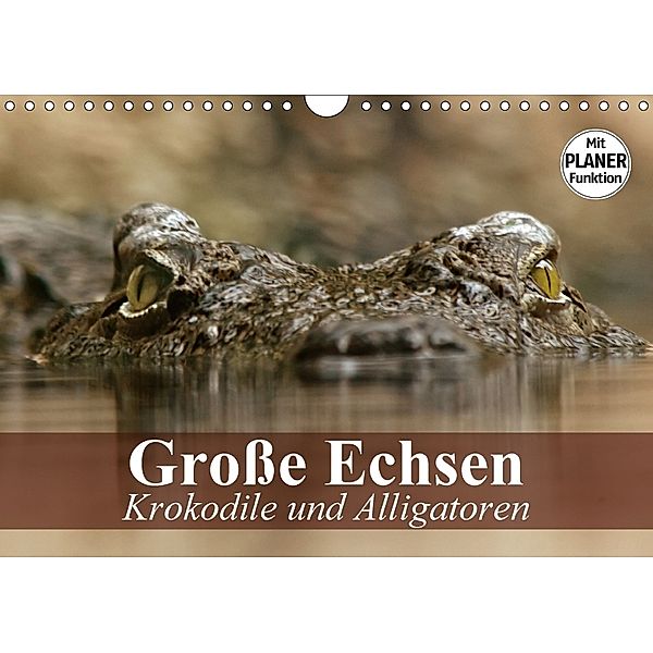 Große Echsen. Krokodile und Alligatoren (Wandkalender 2018 DIN A4 quer), Elisabeth Stanzer