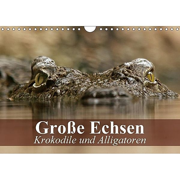 Große Echsen. Krokodile und Alligatoren (Wandkalender 2017 DIN A4 quer), Elisabeth Stanzer