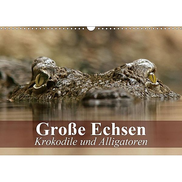 Große Echsen. Krokodile und Alligatoren (Wandkalender 2021 DIN A3 quer), Elisabeth Stanzer