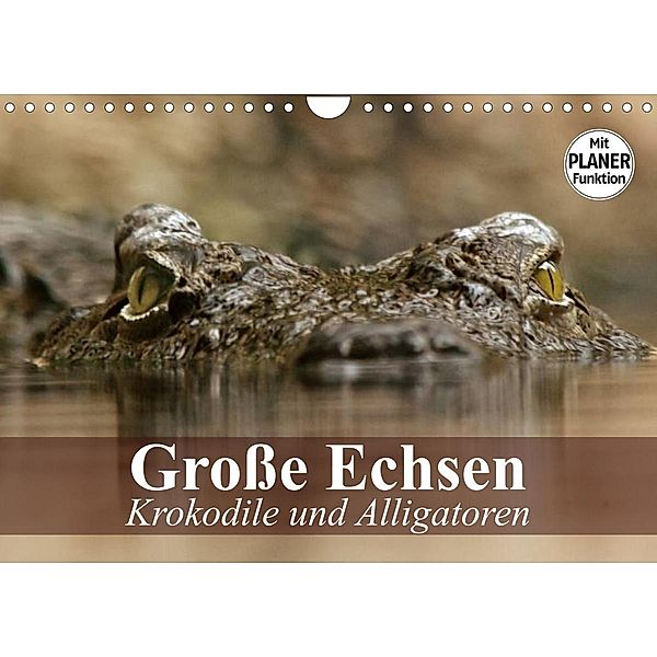 Große Echsen. Krokodile und Alligatoren (Wandkalender 2023 DIN A4 quer), Elisabeth Stanzer