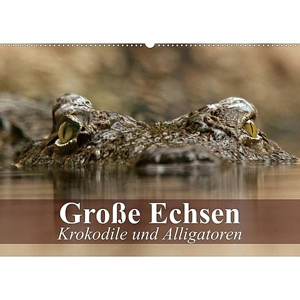 Große Echsen. Krokodile und Alligatoren (Wandkalender 2023 DIN A2 quer), Elisabeth Stanzer