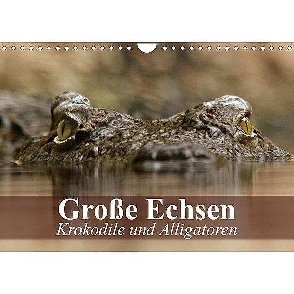 Große Echsen. Krokodile und Alligatoren (Wandkalender 2023 DIN A4 quer), Elisabeth Stanzer