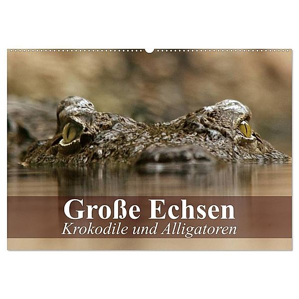 Grosse Echsen. Krokodile und Alligatoren (Wandkalender 2024 DIN A2 quer), CALVENDO Monatskalender, Elisabeth Stanzer