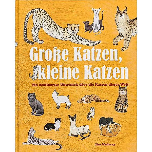 Große Katzen, kleine Katzen