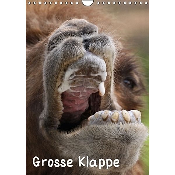 Grosse Klappe 2016 (Wandkalender 2016 DIN A4 hoch), Martina Berg