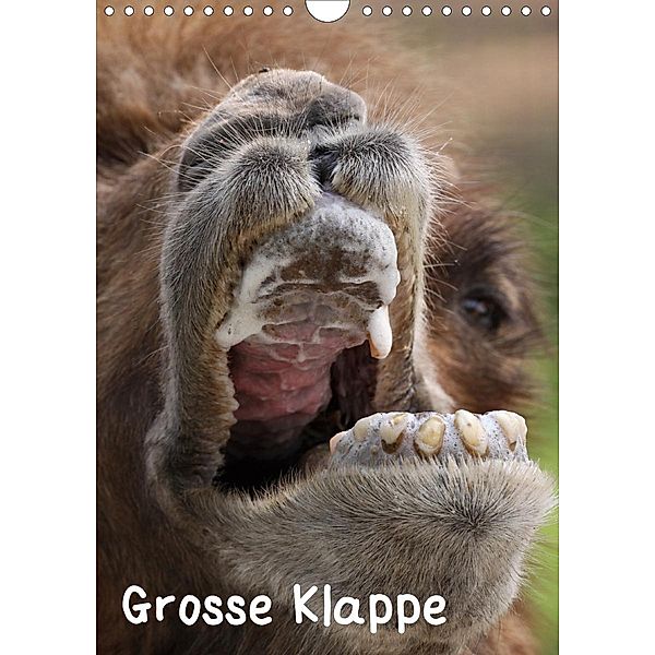 Grosse Klappe 2021 (Wandkalender 2021 DIN A4 hoch), Martina Berg