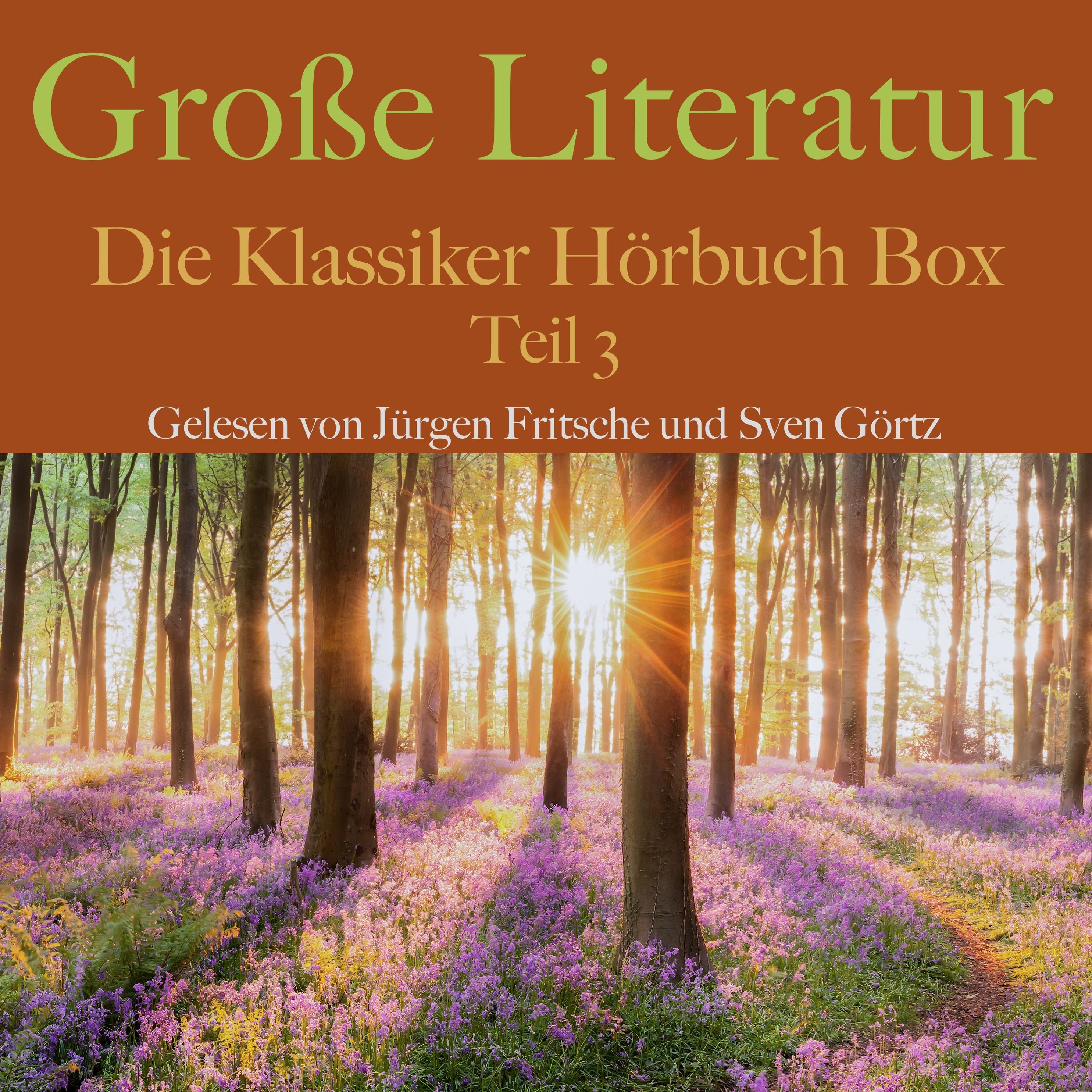 Große Literatur: Die Klassiker Hörbuch Box - 3 - Große Literatur: Die Klassiker  Hörbuch Box Hörbuch Download