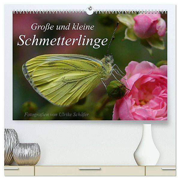 Große und kleine Schmetterlinge (hochwertiger Premium Wandkalender 2025 DIN A2 quer), Kunstdruck in Hochglanz, Calvendo, Ulrike Schäfer