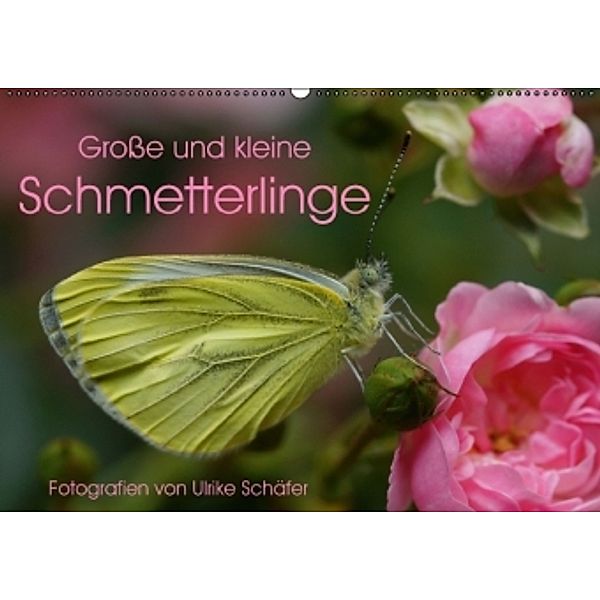 Große und kleine Schmetterlinge (Wandkalender 2016 DIN A2 quer), Ulrike Schäfer