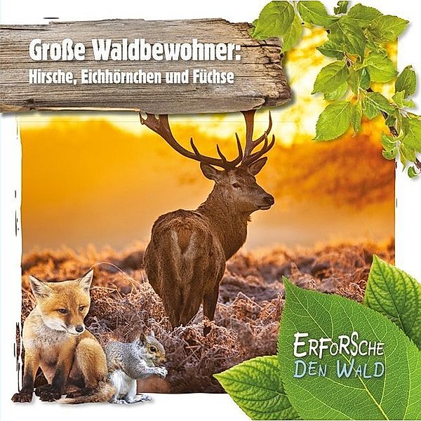 Grosse Waldbewohner: Hirsche, Eichhörnchen und Füchse, Robin Twiddy