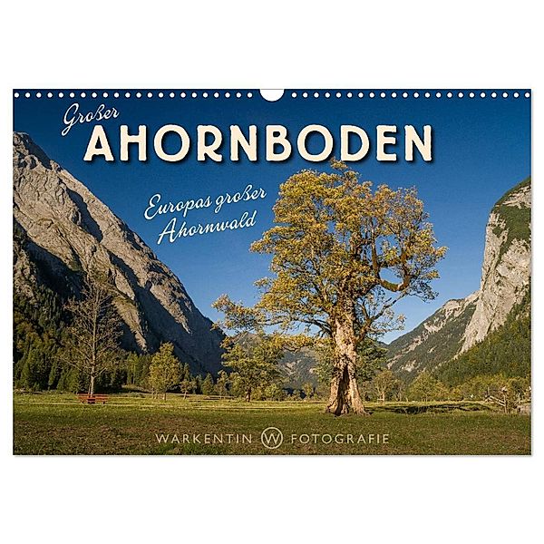 Großer Ahornboden - Europas großer Ahornwald (Wandkalender 2024 DIN A3 quer), CALVENDO Monatskalender, Karl H. Warkentin