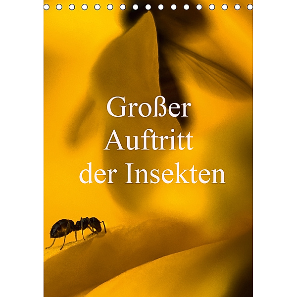 Großer Auftritt der Insekten (Tischkalender 2019 DIN A5 hoch), Erwin Renken