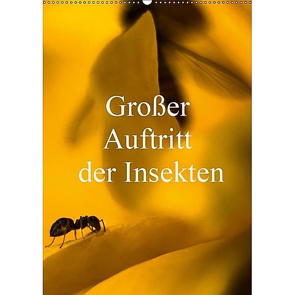 Großer Auftritt der Insekten (Wandkalender 2019 DIN A2 hoch), Erwin Renken