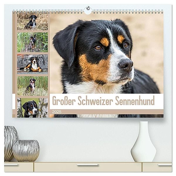 Grosser Schweizer Sennenhund (hochwertiger Premium Wandkalender 2025 DIN A2 quer), Kunstdruck in Hochglanz, Calvendo, Schnellewelten