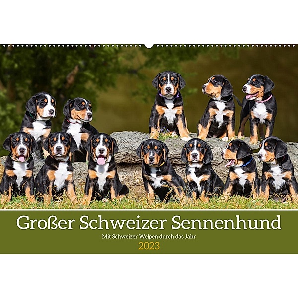 Großer Schweizer Sennenhund - Mit Schweizer Welpen durch das Jahr (Wandkalender 2023 DIN A2 quer), Sigrid Starick
