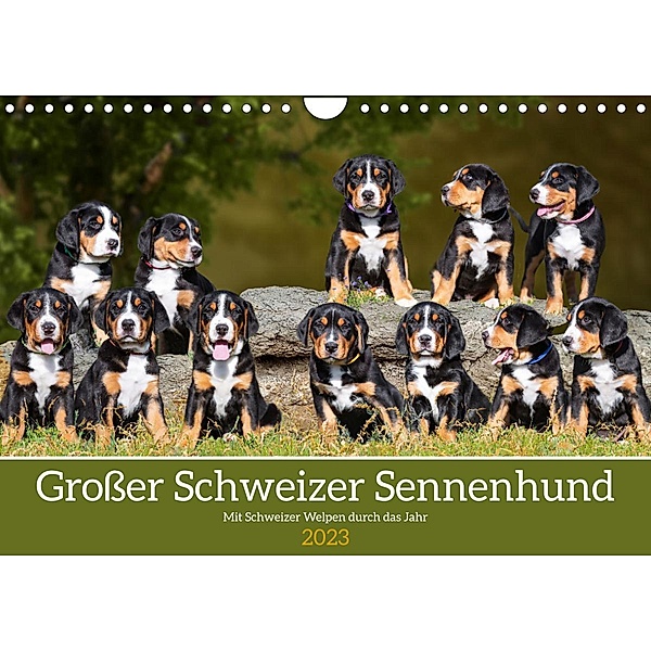 Großer Schweizer Sennenhund - Mit Schweizer Welpen durch das Jahr (Wandkalender 2023 DIN A4 quer), Sigrid Starick