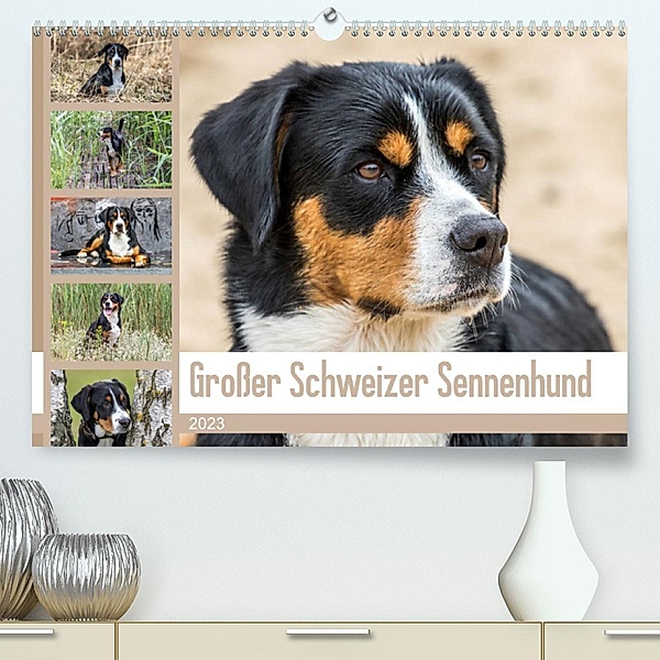 Großer Schweizer Sennenhund (Premium, hochwertiger DIN A2 Wandkalender 2023, Kunstdruck in Hochglanz), Schnellewelten