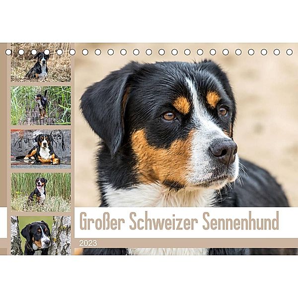 Großer Schweizer Sennenhund (Tischkalender 2023 DIN A5 quer), Schnellewelten