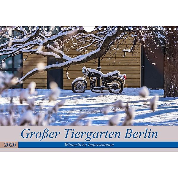 Großer Tiergarten Berlin - Winterliche Impressionen (Wandkalender 2020 DIN A4 quer), ReDi Fotografie