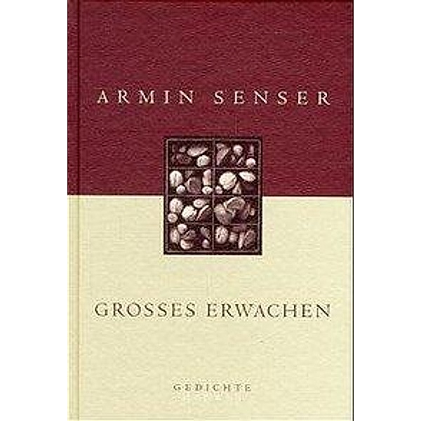 Grosses Erwachen, Armin Senser