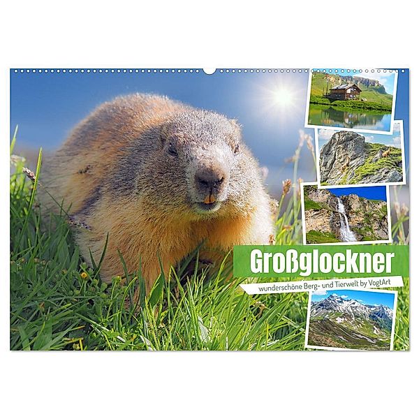 Großglockner wunderschöne Berg- und Tierwelt (Wandkalender 2024 DIN A2 quer), CALVENDO Monatskalender, VogtArt