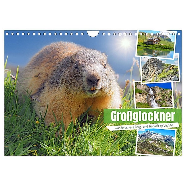 Grossglockner wunderschöne Berg- und Tierwelt (Wandkalender 2024 DIN A4 quer), CALVENDO Monatskalender, VogtArt