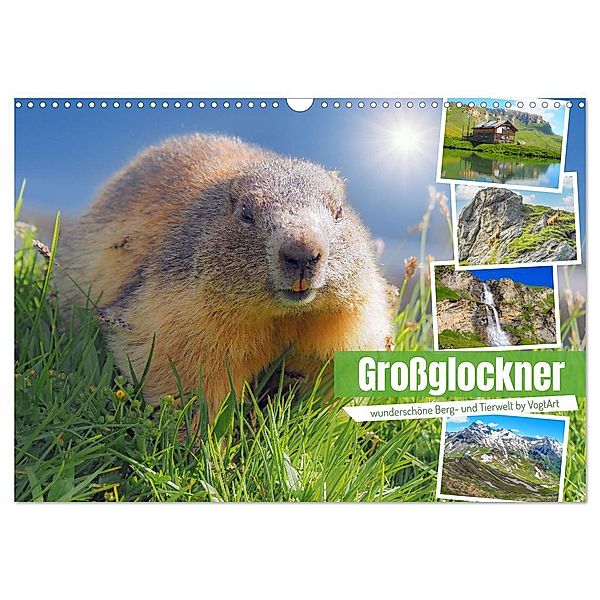 Grossglockner wunderschöne Berg- und Tierwelt (Wandkalender 2024 DIN A3 quer), CALVENDO Monatskalender, VogtArt