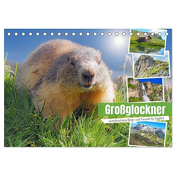 Großglockner wunderschöne Berg- und Tierwelt (Tischkalender 2024 DIN A5 quer), CALVENDO Monatskalender, VogtArt