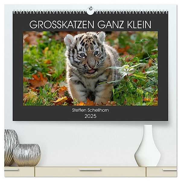 GROSSKATZEN GANZ KLEIN (hochwertiger Premium Wandkalender 2025 DIN A2 quer), Kunstdruck in Hochglanz, Calvendo, Steffen Schellhorn
