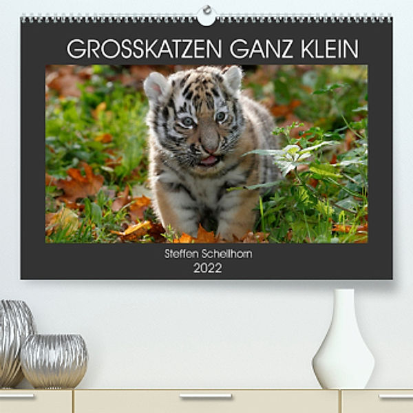 GROSSKATZEN GANZ KLEIN (Premium, hochwertiger DIN A2 Wandkalender 2022, Kunstdruck in Hochglanz), Steffen Schellhorn