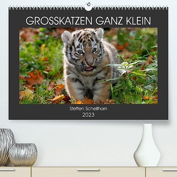 GROSSKATZEN GANZ KLEIN (Premium, hochwertiger DIN A2 Wandkalender 2023, Kunstdruck in Hochglanz), Steffen Schellhorn