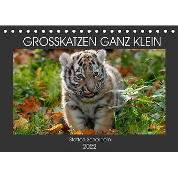 GROSSKATZEN GANZ KLEIN (Tischkalender 2022 DIN A5 quer), Steffen Schellhorn