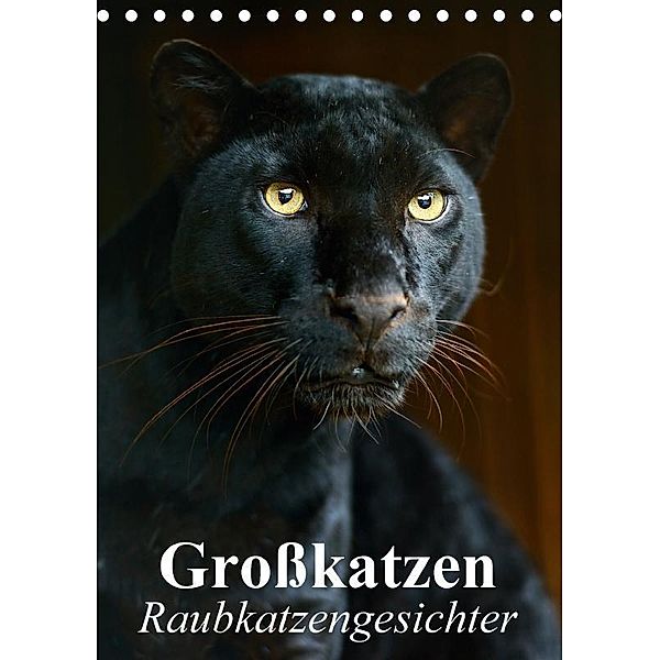 Großkatzen. Raubkatzengesichter (Tischkalender 2017 DIN A5 hoch), Elisabeth Stanzer