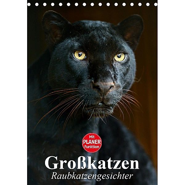 Großkatzen. Raubkatzengesichter (Tischkalender 2021 DIN A5 hoch), Elisabeth Stanzer