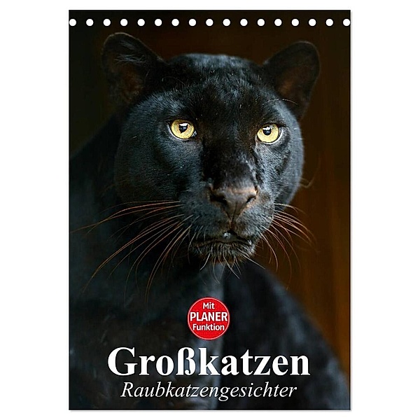 Großkatzen. Raubkatzengesichter (Tischkalender 2024 DIN A5 hoch), CALVENDO Monatskalender, Elisabeth Stanzer