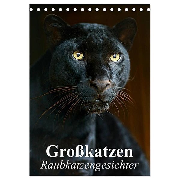 Großkatzen. Raubkatzengesichter (Tischkalender 2024 DIN A5 hoch), CALVENDO Monatskalender, Elisabeth Stanzer