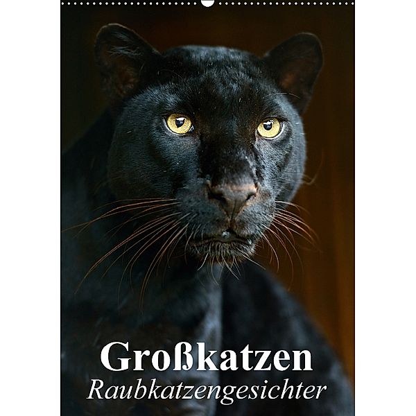 Großkatzen. Raubkatzengesichter (Wandkalender 2018 DIN A2 hoch), Elisabeth Stanzer