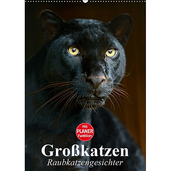 Großkatzen. Raubkatzengesichter (Wandkalender 2019 DIN A2 hoch), Elisabeth Stanzer