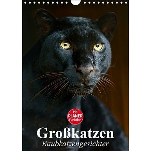 Großkatzen. Raubkatzengesichter (Wandkalender 2020 DIN A4 hoch), Elisabeth Stanzer