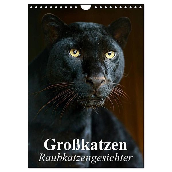 Großkatzen. Raubkatzengesichter (Wandkalender 2024 DIN A4 hoch), CALVENDO Monatskalender, Elisabeth Stanzer