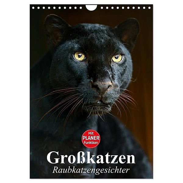 Großkatzen. Raubkatzengesichter (Wandkalender 2024 DIN A4 hoch), CALVENDO Monatskalender, Elisabeth Stanzer