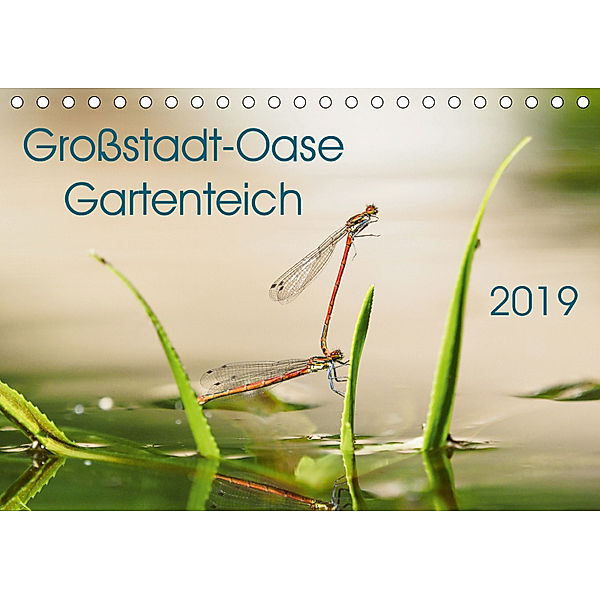 Großstadt-Oase Gartenteich (Tischkalender 2019 DIN A5 quer), Anne Wibke Hildebrandt