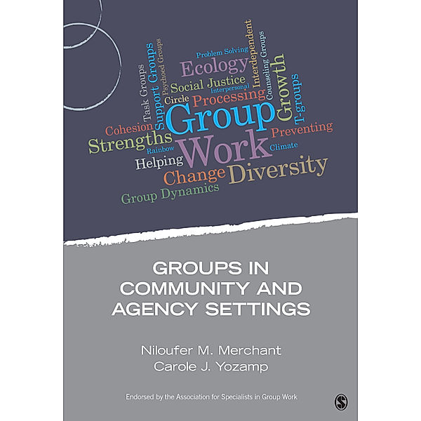 Group Work Practice Kit: Groups in Community and Agency Settings, Carole J. Yozamp, Niloufer M. Merchant