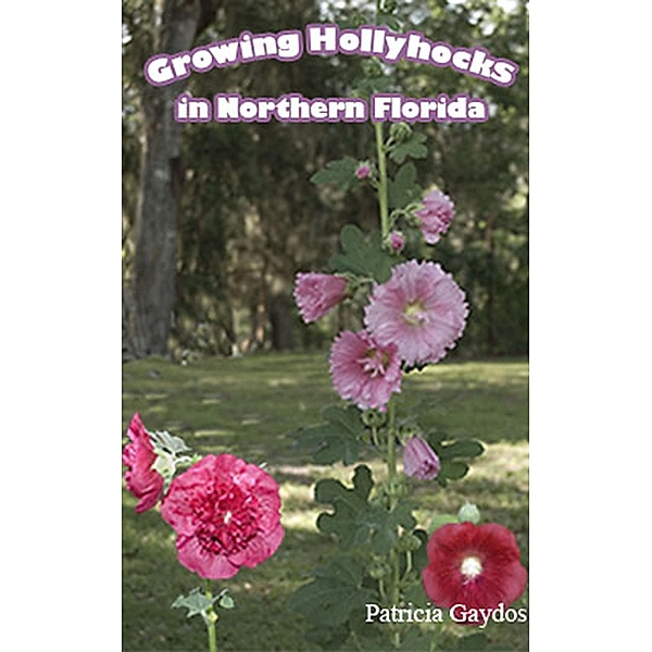 Growing Hollyhocks in Northern Florida, Patricia Gaydos