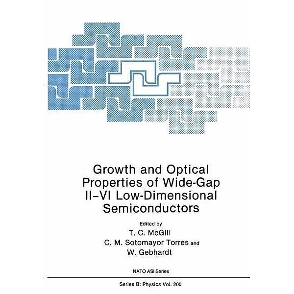Growth and Optical Properties of Wide-Gap II-VI Low-Dimensional Semiconductors / NATO Science Series B: Bd.200