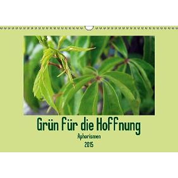 Grün für die Hoffnung Aphorismen (Wandkalender 2015 DIN A3 quer), Linda Schilling und Michael Wlotzka