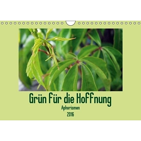 Grün für die Hoffnung - Aphorismen (Wandkalender 2016 DIN A4 quer), Linda Schilling und Michael Wlotzka